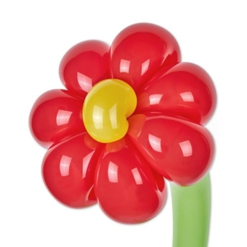 MEENOI - THIS IS MY LIFE ✅