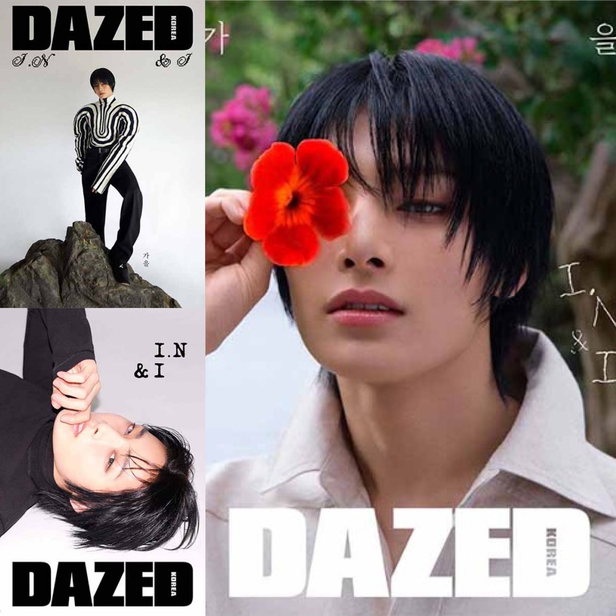 STRAY KIDS - I.N DAZED & CONFUSED KOREA COVER OCT. 2024 ✅