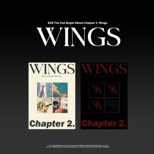 BXB - CHAPTER 2. WINGS ✅