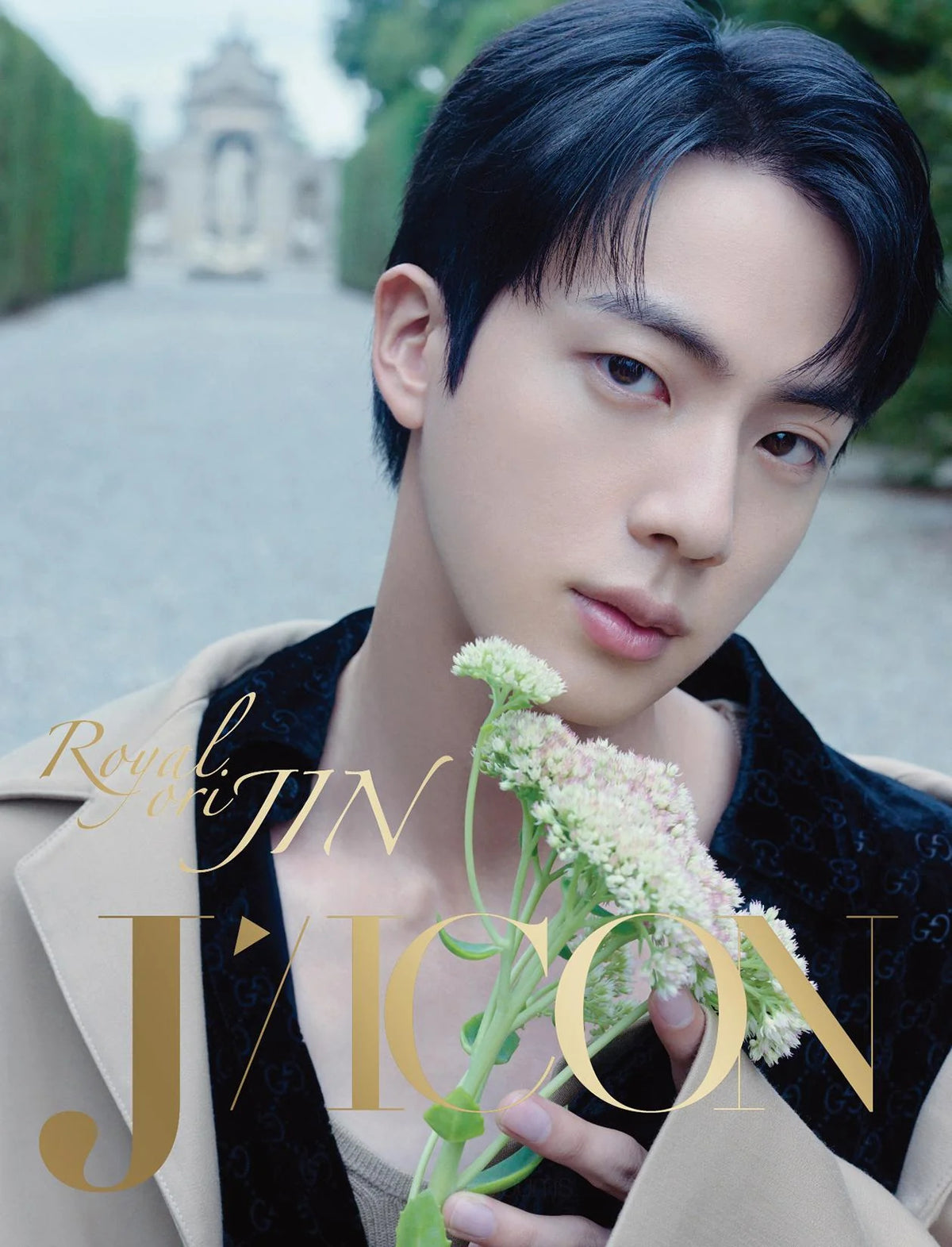 BTS - JIN DICON VOLUME N24 ✓ – KSPACE