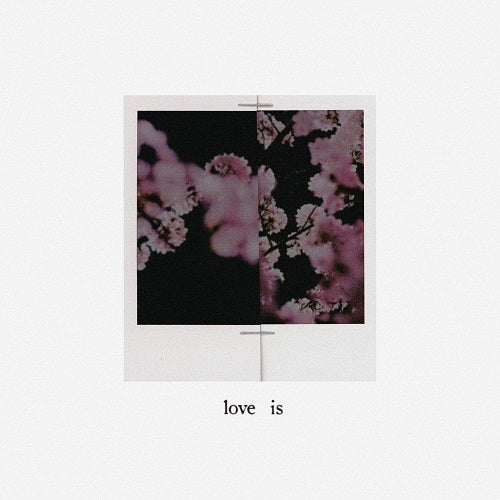 OWEN - LOVE IS