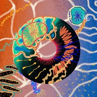 KHUNDI PANDA - 1ST ALBUM THE SPOILED CHILD